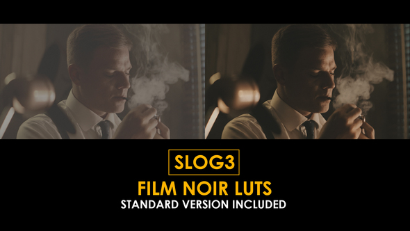 Slog3 FIlm Noir LUTs and Standard LUTs