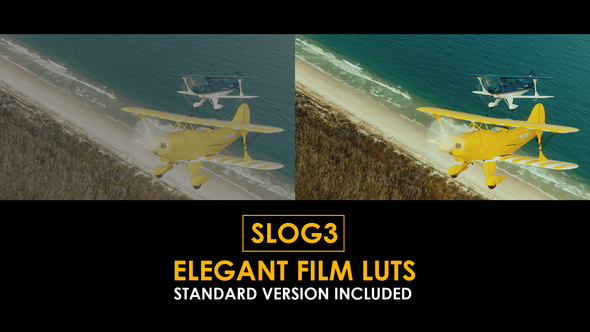 Slog3 Elegant Film and Standard Color LUTs