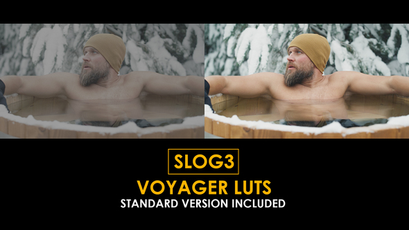Slog3 Professional Filmmaker and Standard Color LUTs alt