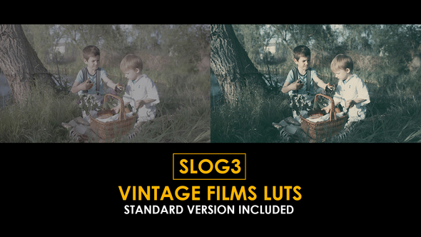 Slog3 Vintage Films and Standard Color LUTs alt