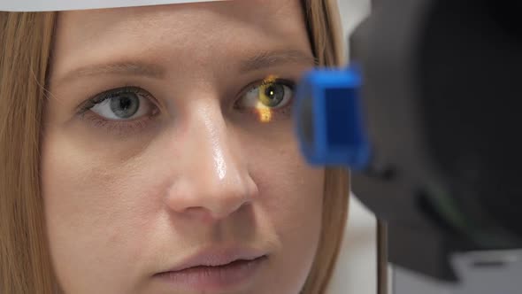 The Doctor Directs a Beam of Light Into the Patient's Eye To Diagnose Eye Health