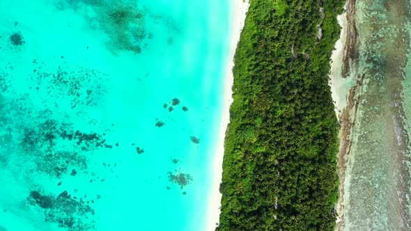 Aerial above scenery of tropical coast beach wildlife by blue sea with white sandy background of jou