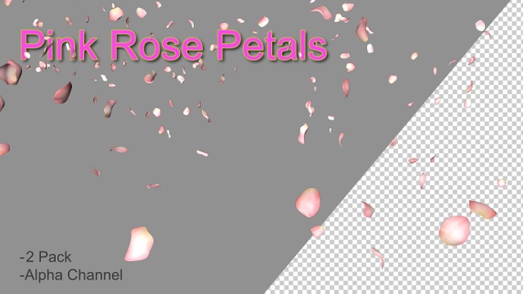 Pink Rose Petals 4k alt