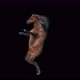 57 Horse Dancing 4K - VideoHive Item for Sale
