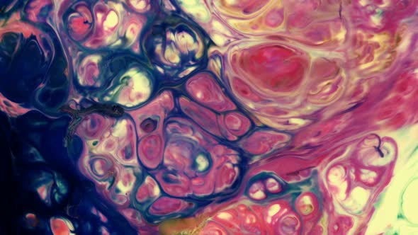 Abstract Colorful Paint Liquid Artistic Movement 12 alt