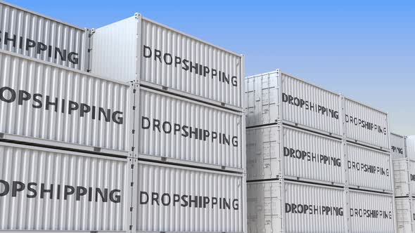 Containers with DROPSHIPPING Text