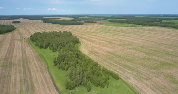 Bird Eye Flight Above Countryscape with Groves Fields and Woods