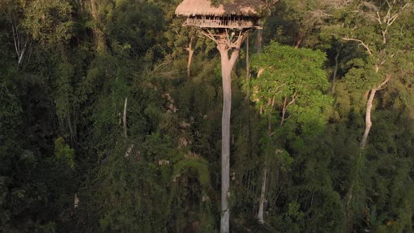 Aerial view of tree house consturction in Laos.