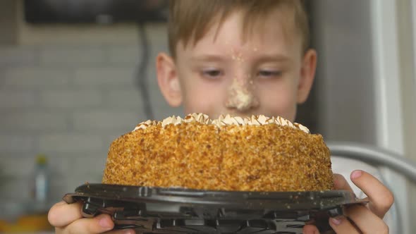 Happy caucasian preschooler holds and licks a birthday cake.