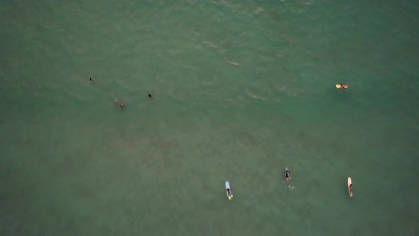 Surfers Catch a Wave at Sunset