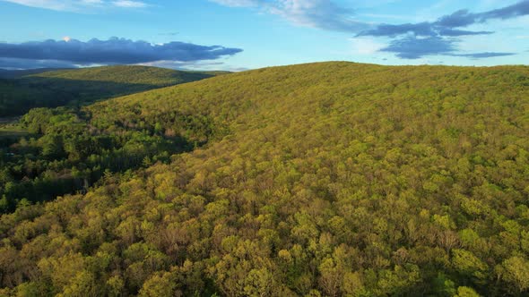 Aerial drone video footage of a vast endless forest with rolling green hills in the Appalachian Moun