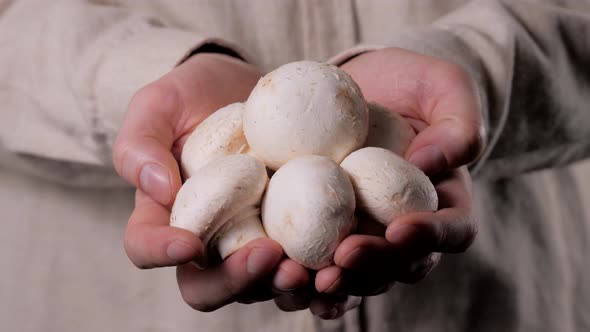 Freshly Picked Mushrooms in the Hands of Men on the Background