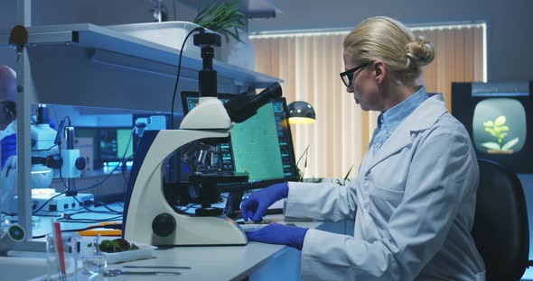 Scientist Using a Microscope in a Lab