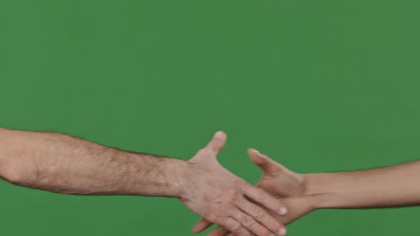 Close Up Part of Male Human Body Two Multiethnic Diverse Men Partners Greet Shake Hands Male Arms