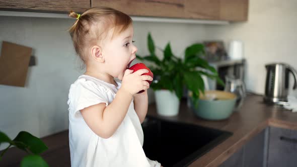 Baby Girl Blonde Eating an Apple in the Kitchen Concept of Healthy Food for Children