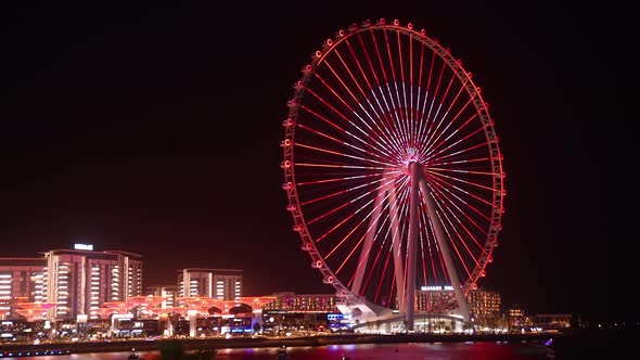 Beautiful Dubai Eye or Ain Dubai Ferris Wheel on the Jumeirah Beach Illuminated at Night