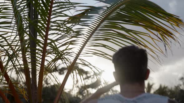 View Behind Male Wearing Tank Top Jumping Up Beside Palm Tree To Seek Out Sunset In Punta Cana. Rack