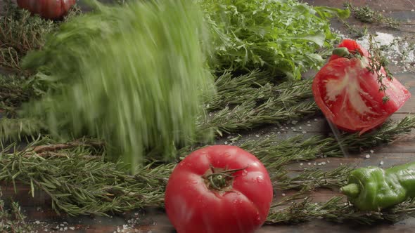 Vegetarian Set on the Table. Fresh Herbs, Salad and Tomatoes