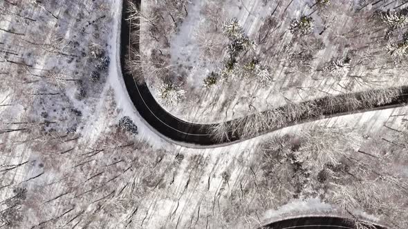 Impressive flight over a winter landscape. Forest top down view from a drone flying over trees and a