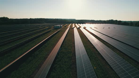 Aerial View of Solar Farm on the Green Field at Sunset Time Solar Panels in Row