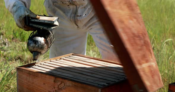 Beekeepers smoking the bees away from hive