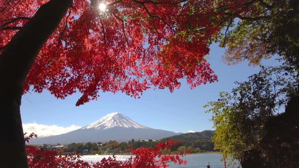 Mount Fuji in Autumn Color, Japan