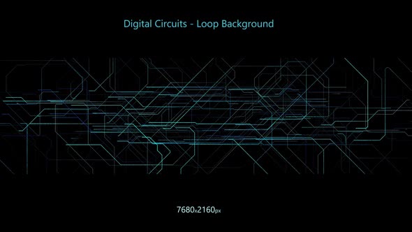 Digital Circuits - Panoramic Screen