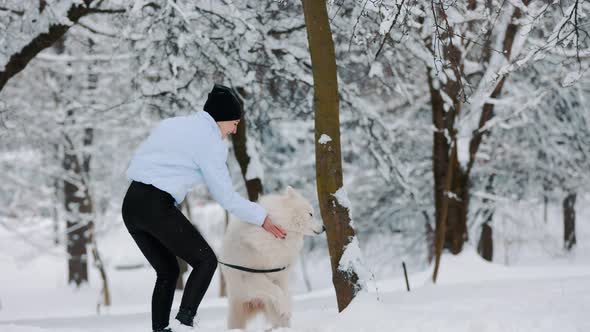 Woman Playing with Dog