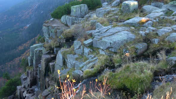 Water Rushes Down a Rocky Wall of a Hill in Wilderness