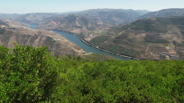 River Douro. Porto Wine Region