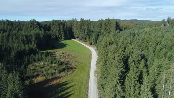 Aerial view of dirt road with meadow and forest in autumn