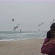 Woman Speaks on the Phone and Pulls Her Hand Towards the Birds - VideoHive Item for Sale