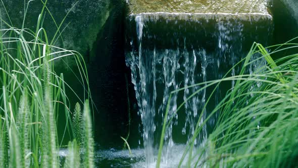 Waterfall in the Park