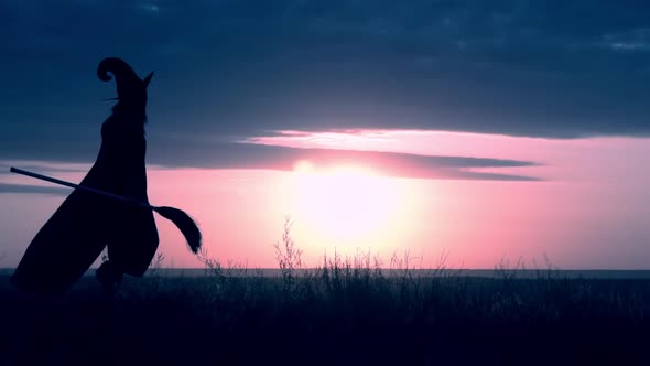 a Witch with Besom Slow Motion Halloween on the Hill Evening Skyline