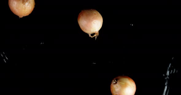 Untreated Onions Falls To the Water with a Splash
