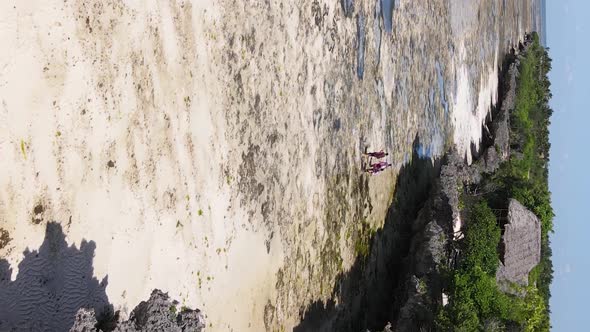 Vertical Video of the Ocean Near the Coast of Zanzibar Tanzania Aerial View