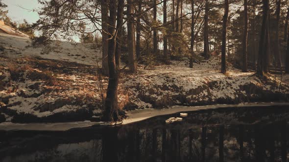 River in the Baltic dunes in Latvia in winter