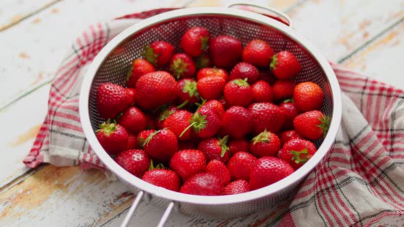 Freshly Harvested Strawberries