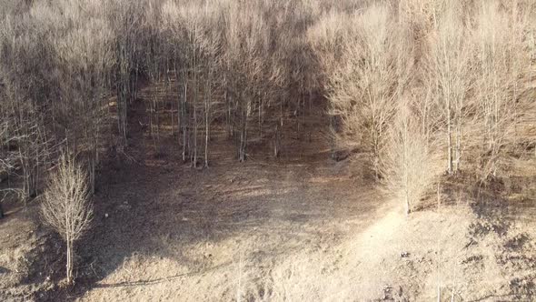 tree aerial view of a forest. Drone shot of the forest and a country road in the late autumn. Late A