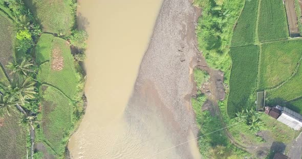 Big river with brown water surrounded by rice field. There ara coconut trees on the rice field. Cent