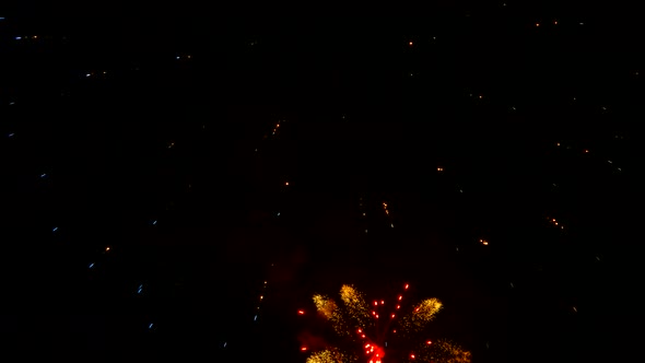 Colorful Fireworks in Dark Night Sky