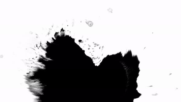 Ink Drop on White Black Background Footage Ink Footage