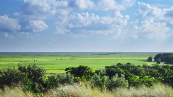 organic farming Dutch island Terschelling Boschplaat Oosterend grassland ZOOM OUT