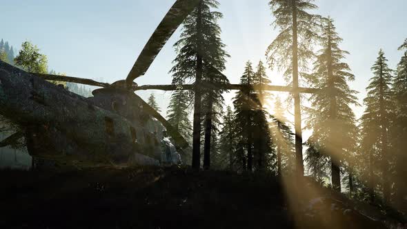 Old Rusted Military Helicopter alt