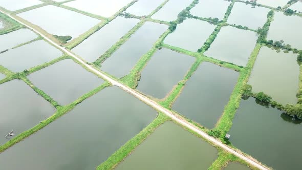 Top view of flying Fish hatchery pond 