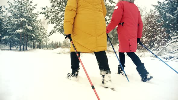 Hiker Practicing Nordic Walking In Forest. Sticks Walking Winter Wood. Nordic Walking Trekking Stick