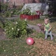 Little Girl in Autumn Garden - VideoHive Item for Sale