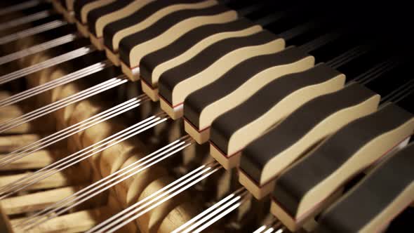 Endless animation of the grand piano inside. Hammers hit strings. Loopable. 4KHD