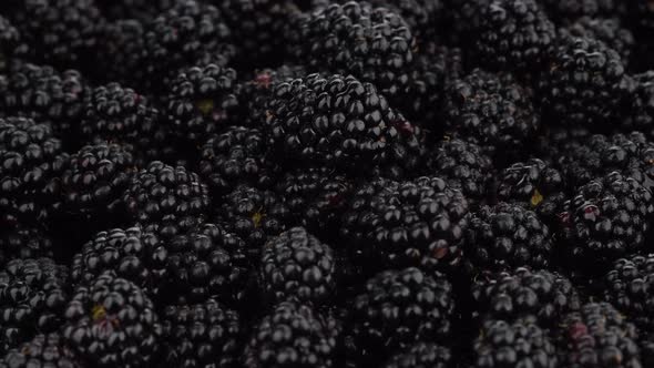 blackberry close up rotating. Fresh Ripe organic blackberries