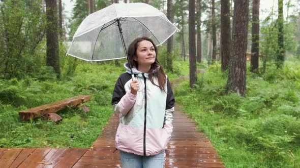 a Young Woman Walks Through the Woods in the Rain with an Umbrella. Attractive Brunette Walks in the